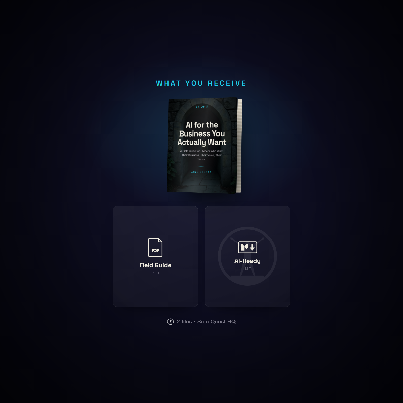 AI for the Business You Actually Want - what you receive: the full file set