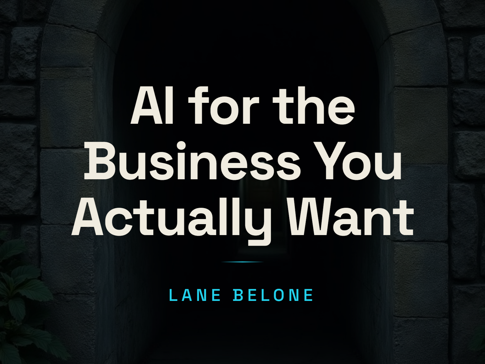 AI for the Business You Actually Want cover