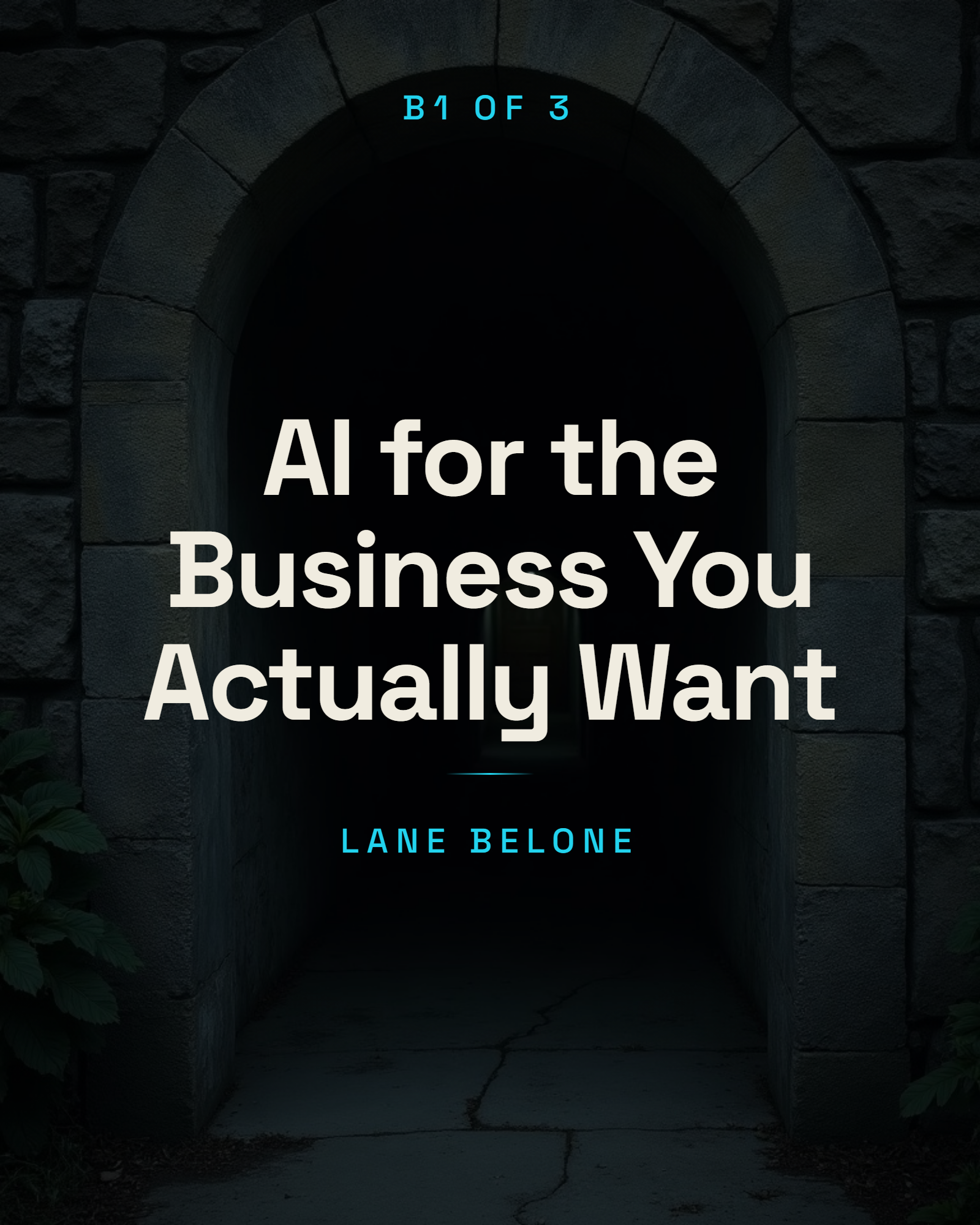 AI for the Business You Actually Want cover