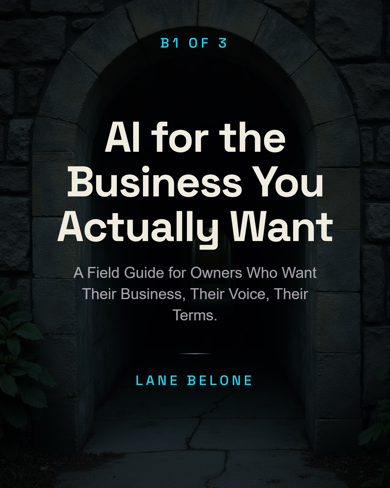 AI for the Business You Actually Want cover — atmospheric backdrop with the title centered in a cyan-accented Field Guide composition