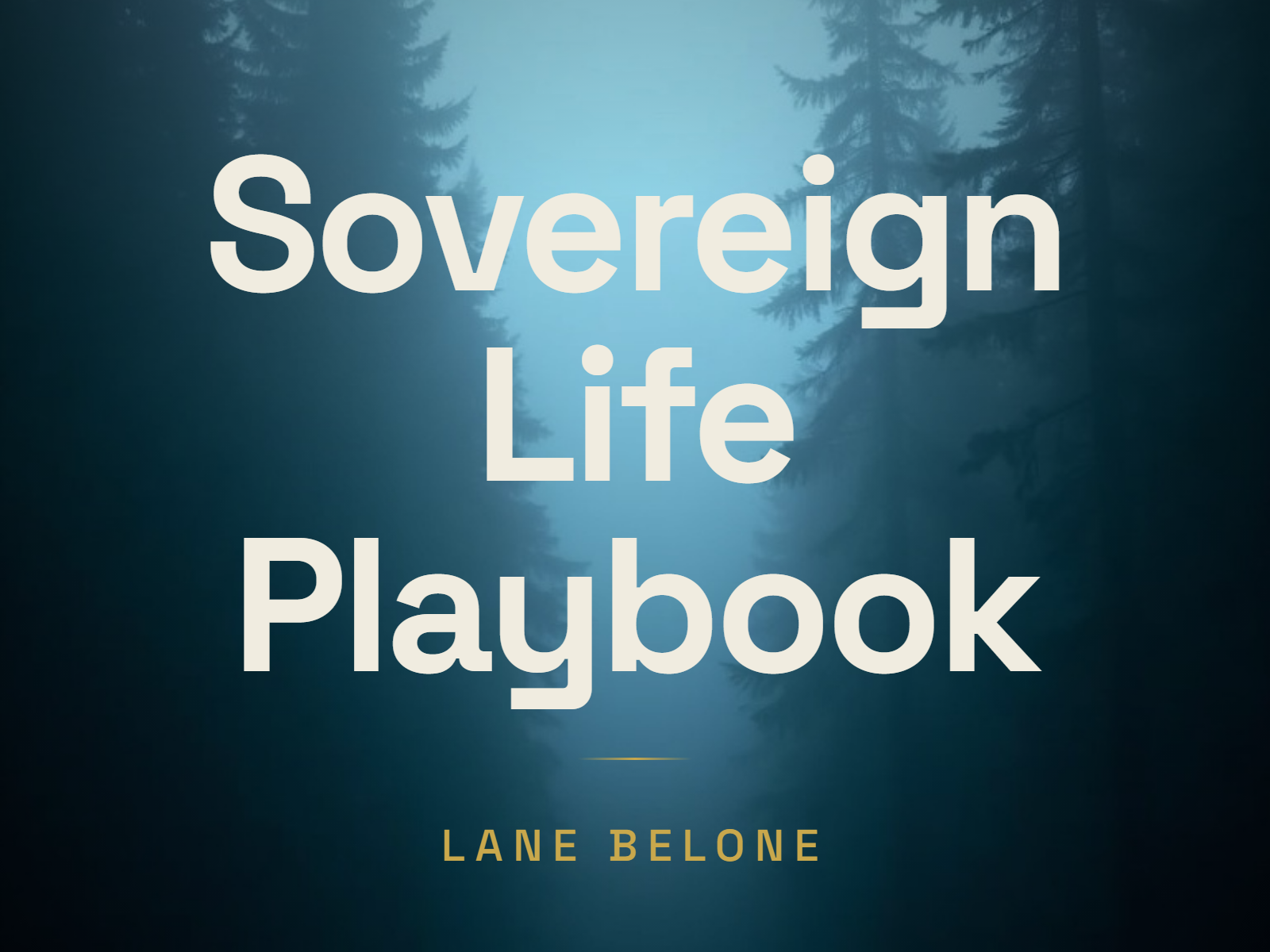 The Sovereign Life Playbook cover